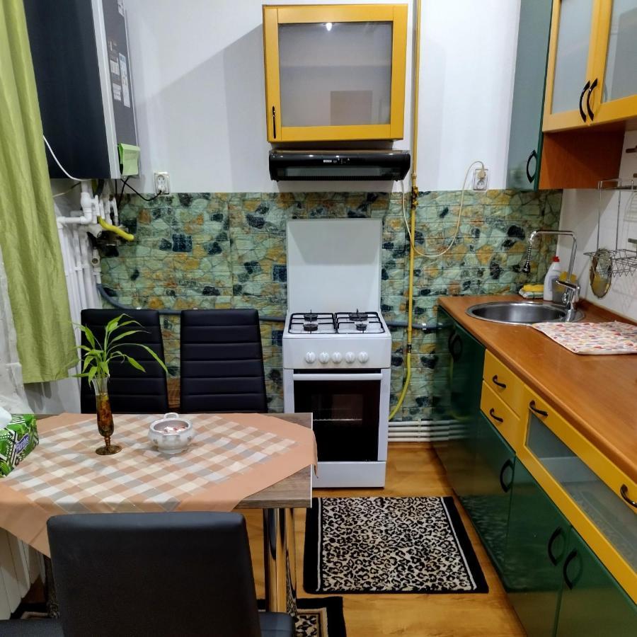 Apartament Camelia Petrosani Ngoại thất bức ảnh