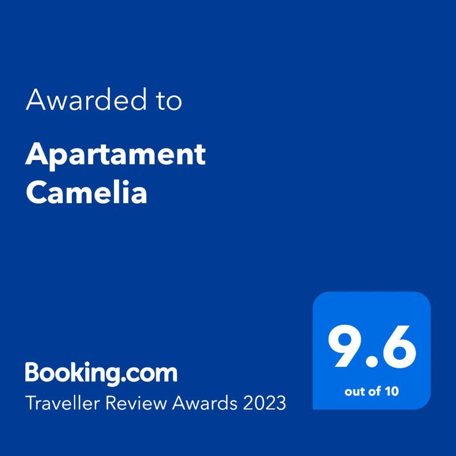 Apartament Camelia Petrosani Ngoại thất bức ảnh